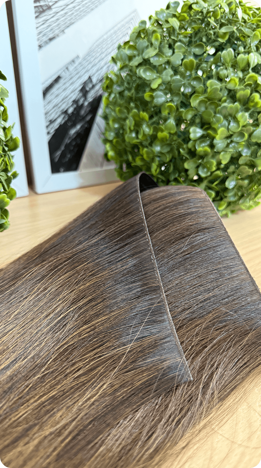 Resuyltado_0000_IMG_3938