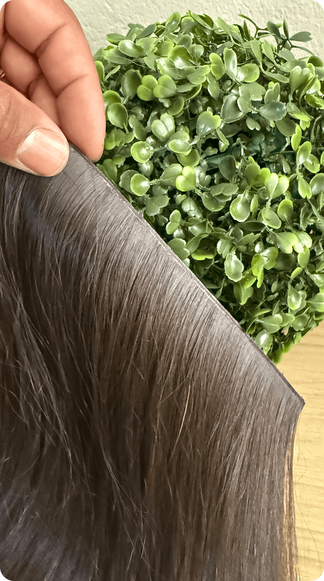 Resuyltado_0006_IMG_5212